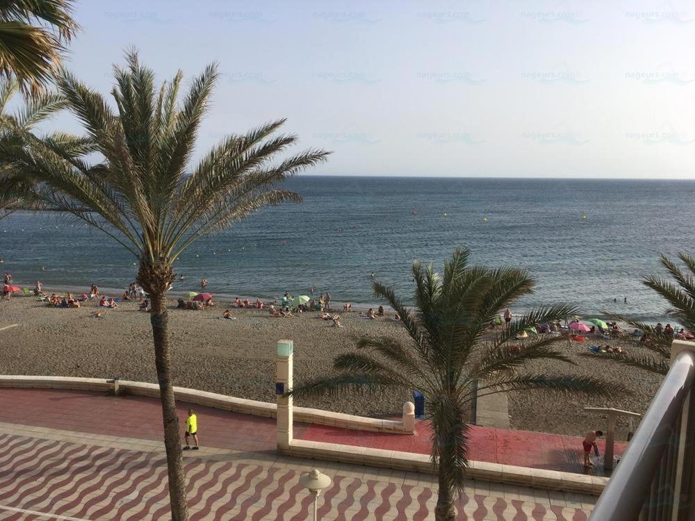 Spacious 1 Bedroom Flat In Almeria, By The Apartment Almería
